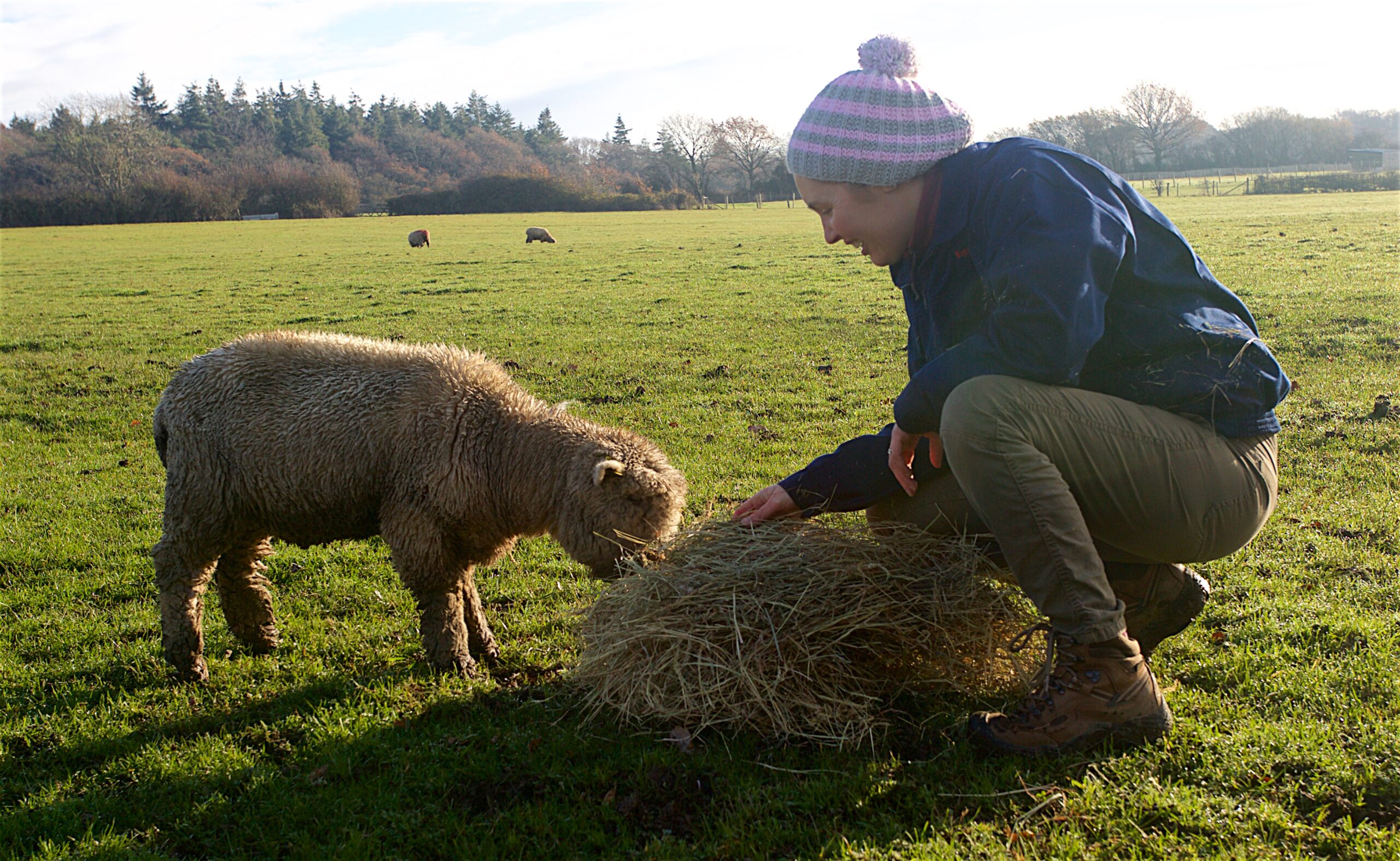 Supporting a “Feed our Farmyard” plea from the Countryside Education Trust