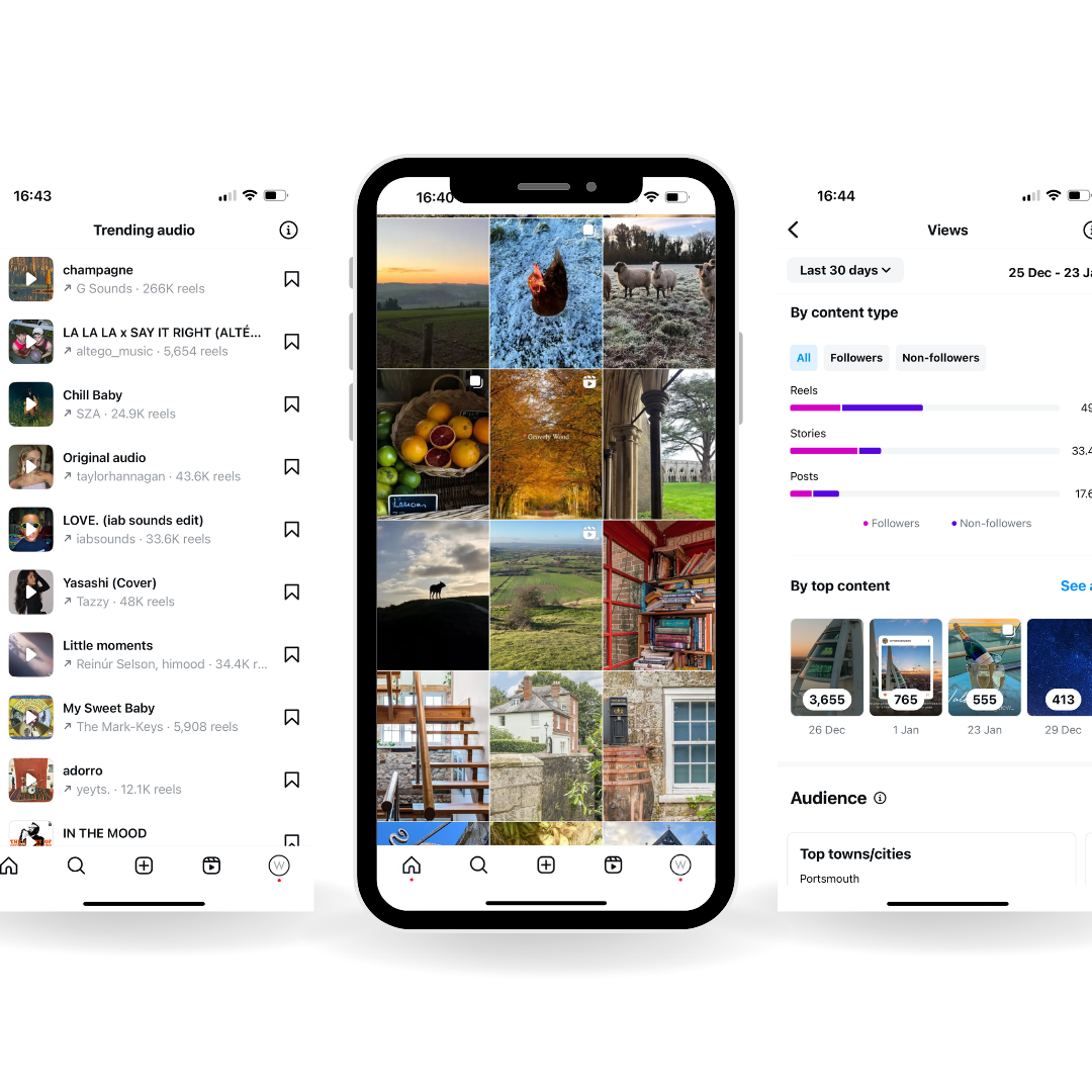 Instagram algorithm showing portrait posts, trending music and reach stats